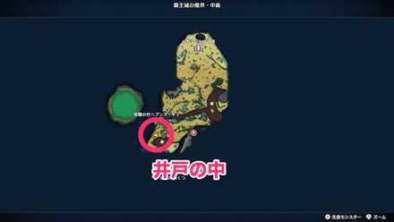 南西の井戸の中にあるツボのちいさなメダルの場所マップ