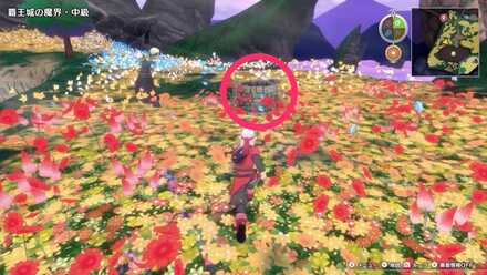 南西の井戸の中にあるツボのちいさなメダルの場所