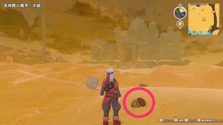 流砂の宮殿の南、強敵近くのツボ（夏以外）のちいさなメダルの場所