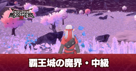 覇王城の魔界・中級