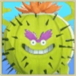 サボテンボール画像