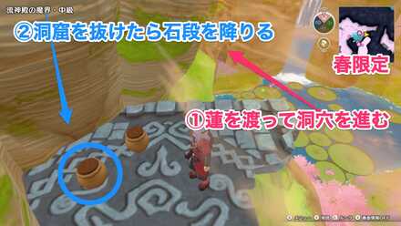 マップ中央の蓮を渡った先の崖のツボ（春限定）のちいさなメダルの場所