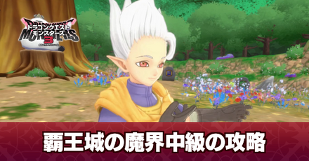 覇王城の魔界中級の攻略