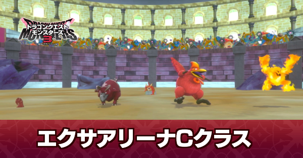 エクサアリーナCクラス