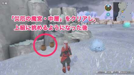 牧場の北東のツボのちいさなメダルの場所