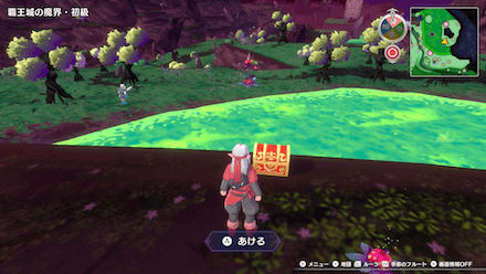 ちからのゆびわ