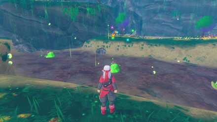 覇王城中級・夏