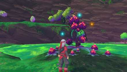 覇王城中級・春