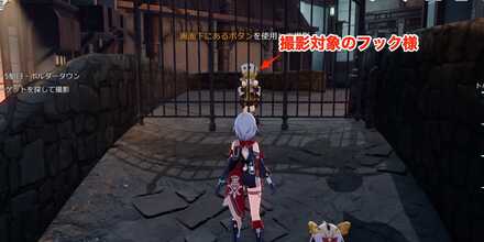 撮影対象のフック様