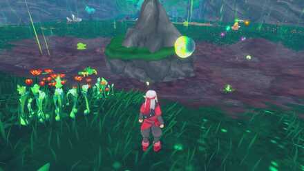 覇王城上級・夏