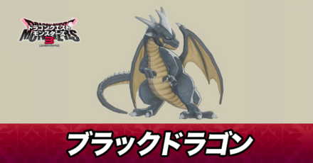 ブラックドラゴン画像