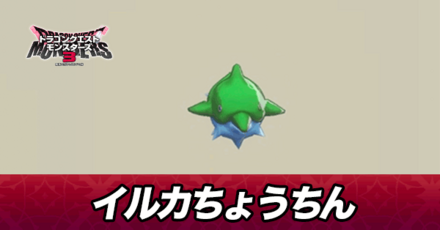 イルカちょうちん画像