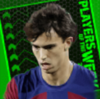 TPジョアン・フェリクス(12/07)画像