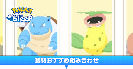 おすすめ組み合わせ