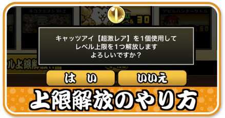 上限解放のやり方
