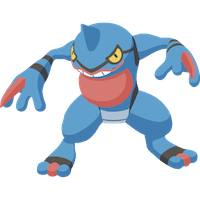 ドクロッグの画像