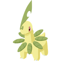 ベイリーフの画像