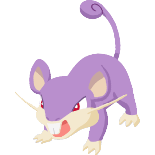 コラッタの画像