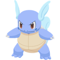 ポケモン カメール 図鑑 わるいカメール | ポケモンカードweb
