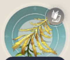 ホーテエルブの画像