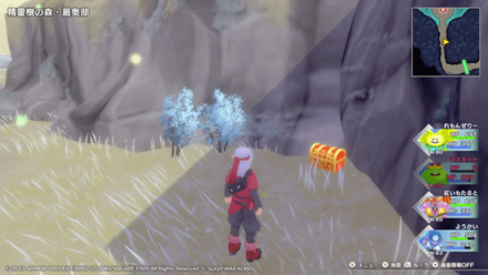 精霊樹の森の宝箱