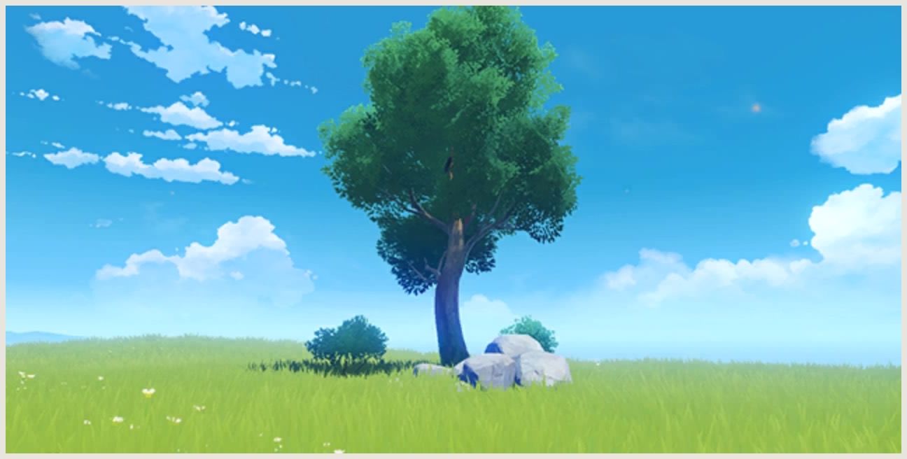 自在な岩石と植物