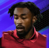 HPミケトレゾール(12/14)画像