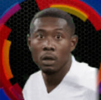 HPダヴィドアラバ(12/14)画像