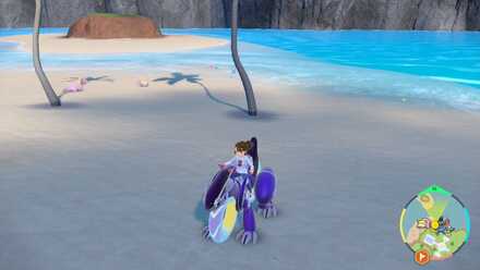 ガラナツのえだを拾う