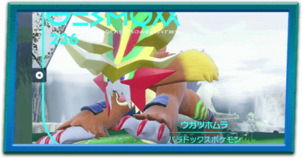 ウガツホムラ厳選