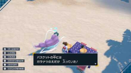 ガラナツのえだを拾える