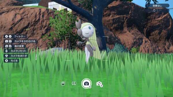 メロエッタは野生で入手できる