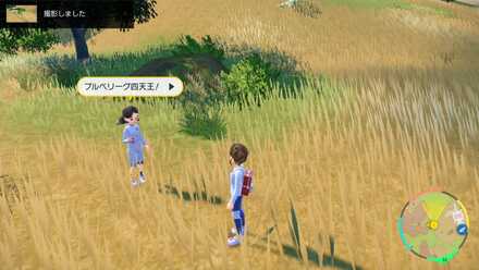 ダブルバトルを行う