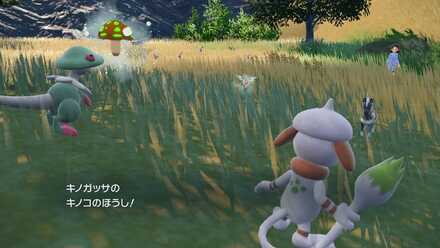 スケッチしたい技を使う