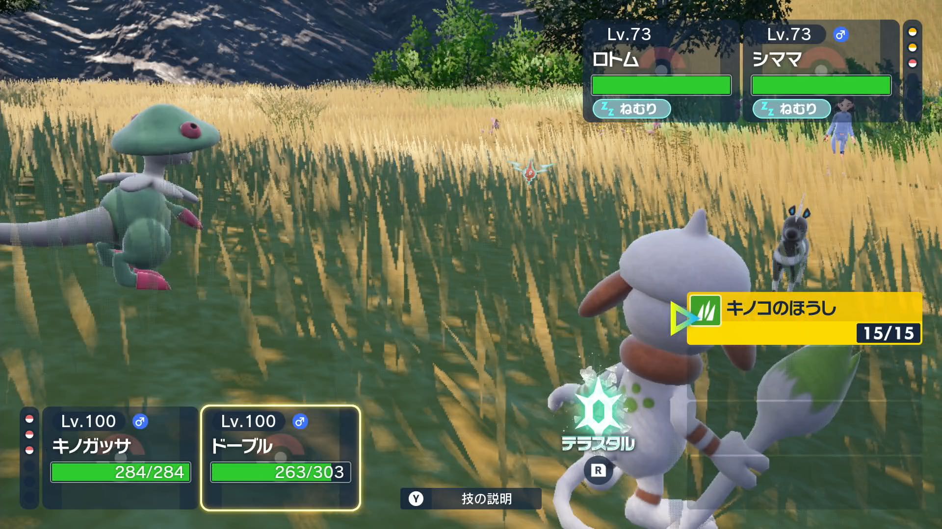 技が上書きされている