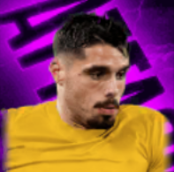 HPペドロネト(12/18)画像