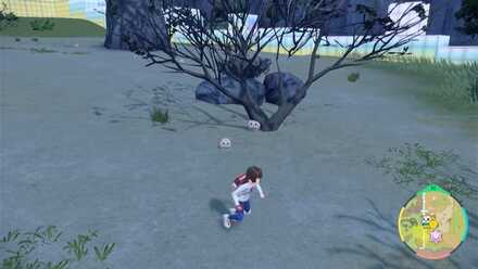 モクローの大量発生を狙う