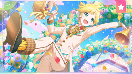 キラキラ好奇心☆