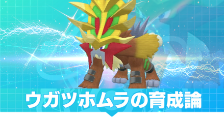 ウガツホムラの育成論