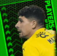 TPアナトリートルビン(12/21)画像