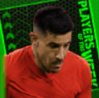 TPユリ(12/21)の画像