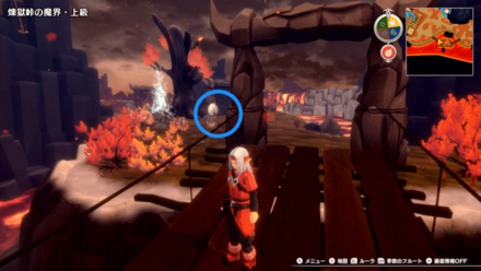 正面のタマゴを確認