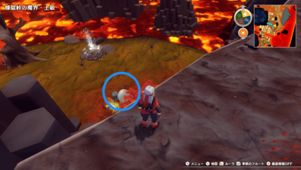 岩場から見下ろすポイントを確認