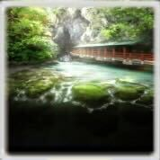 称号＆背景【秋芳洞】の画像