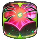 歓喜の実の画像