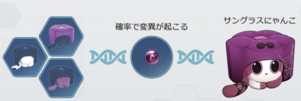 サングラスにゃんこレシピ