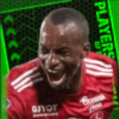 TPカモリドゥンビア(12/28)画像