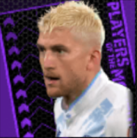 TPセミフギュレル(01/4)画像