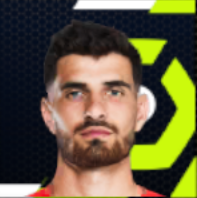 マルタン・テリエの画像