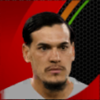 グスタボ・ゴメス画像